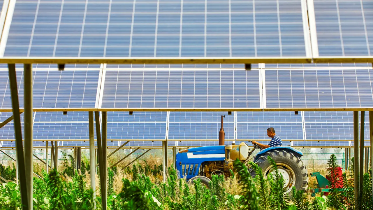 Agri-Photovoltaik-Anlage auf landwirtschaftlichen Flächen.