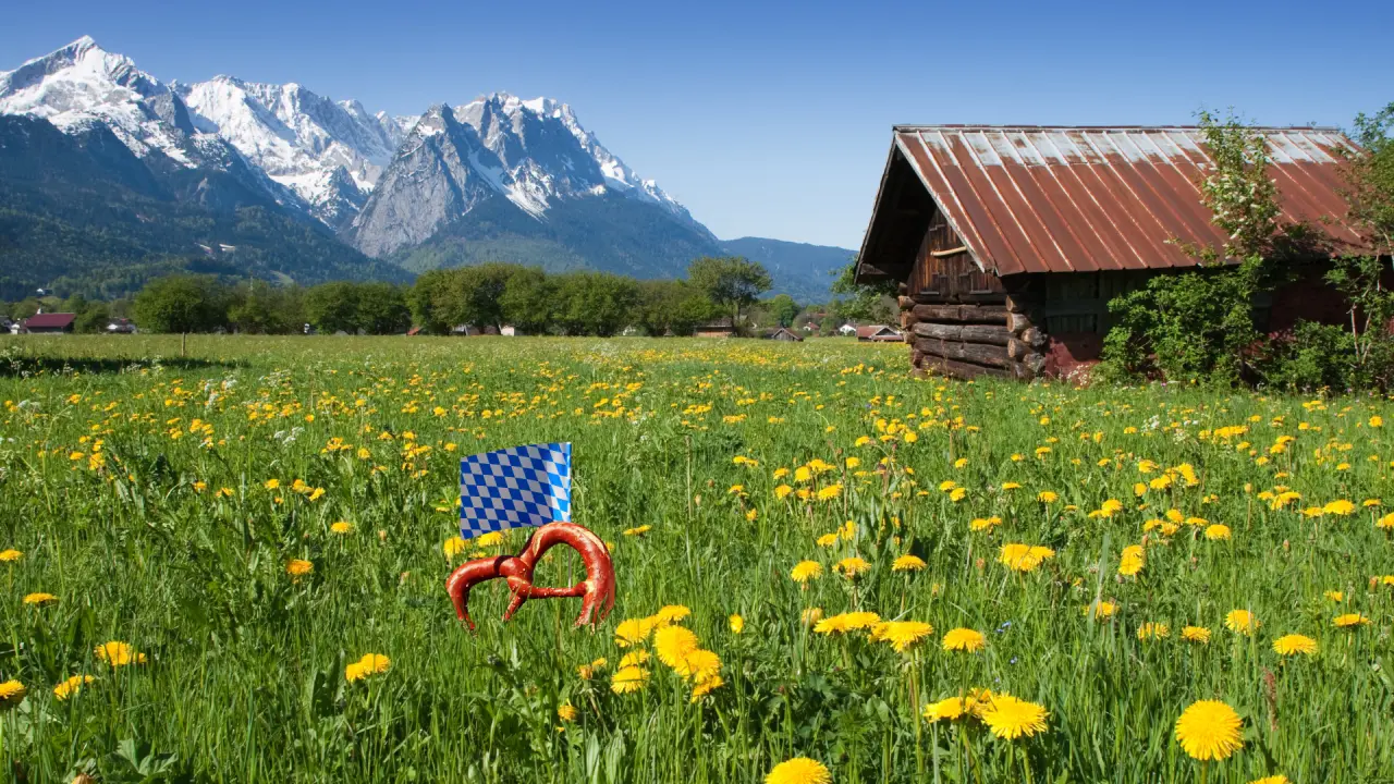 Eine Blumenwiese in Bayern, die Sonnenenergie nutzen könnte.